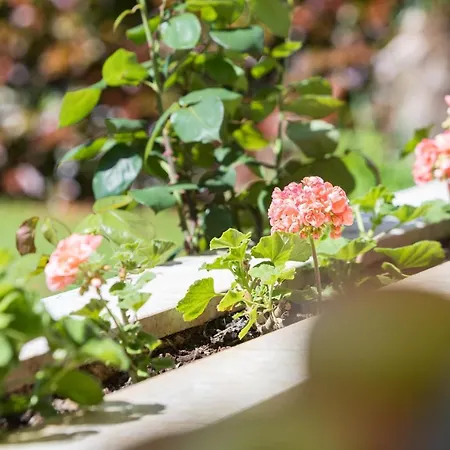 Kazalac Oasis 아파트