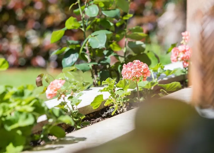 Kazalac Oasis 아파트